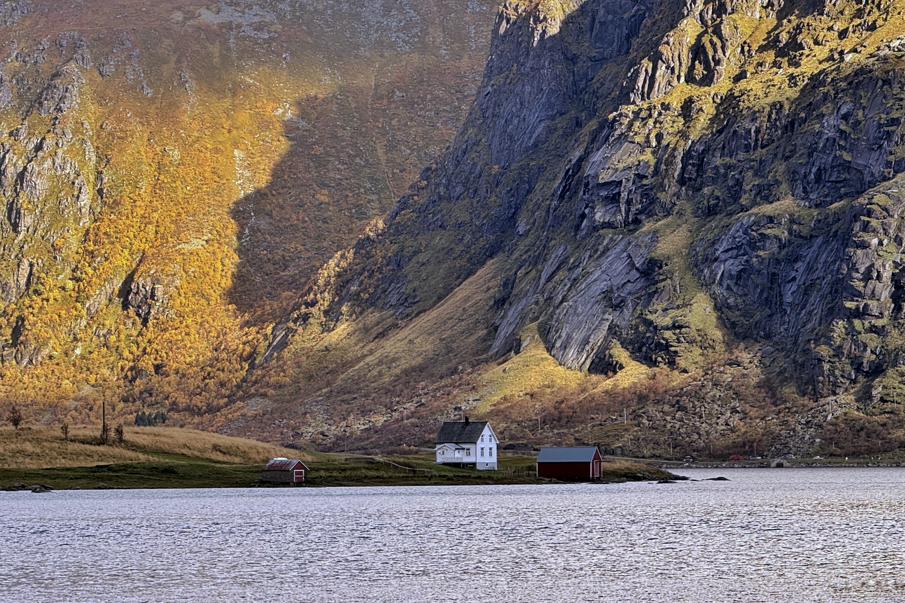 Maison isolée au bord de l'eau dans les Lofoten